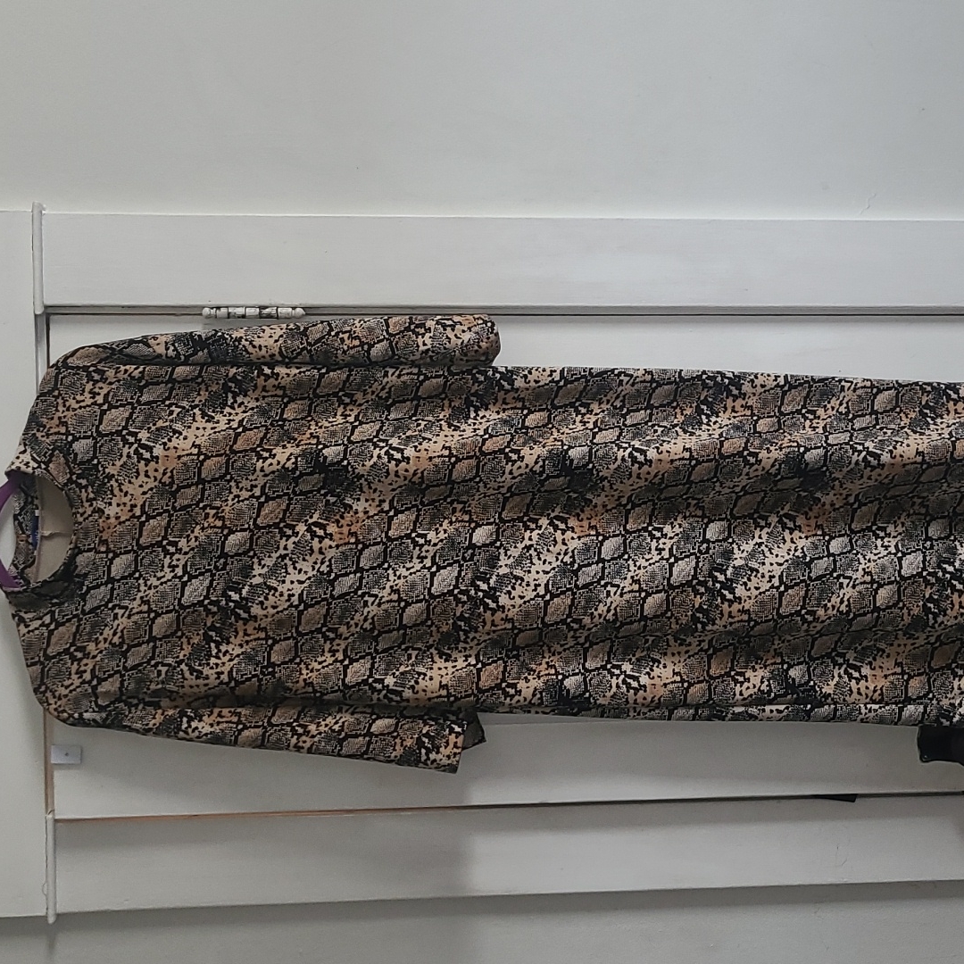 Zara Python Print Dress